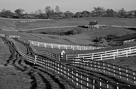 Albemarle County Horsefarm with White Fences, VA